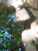 Le bois des sources, Gazinet (33) - Ludovic Martin - 27/08/2006