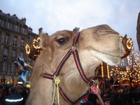 Marché de Noël, Bordeaux (33) - Ludovic Martin - 17/12/2005