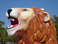 Lion du cirque Pinder, Bordeaux (33) - Ludovic Martin - 15/09/2005