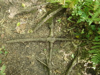 Le  bois des sources, Gazinet (33) - Ludovic Martin - 27/08/2006