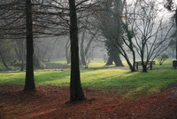 Parc de Montgaillard, Gradignan (33) - Ludovic Martin - 10/12/2006