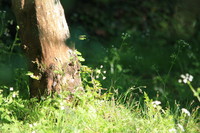 Floirac (33) - Ludovic Martin - 07/04/2011
