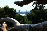 Parc Palmer, Cenon (33) - Ludovic Martin - 04/08/2013