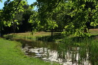 Le Lac, Châtellerault (86) - Ludovic Martin - 14/08/2013